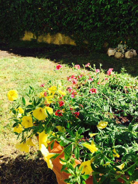Harmony House Prestige Bed and Breakfast Pisa Buitenkant foto