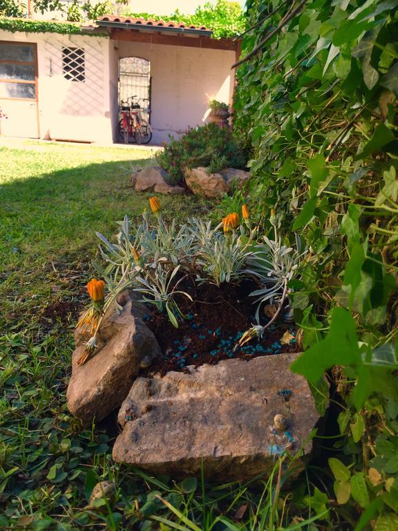 Harmony House Prestige Bed and Breakfast Pisa Buitenkant foto